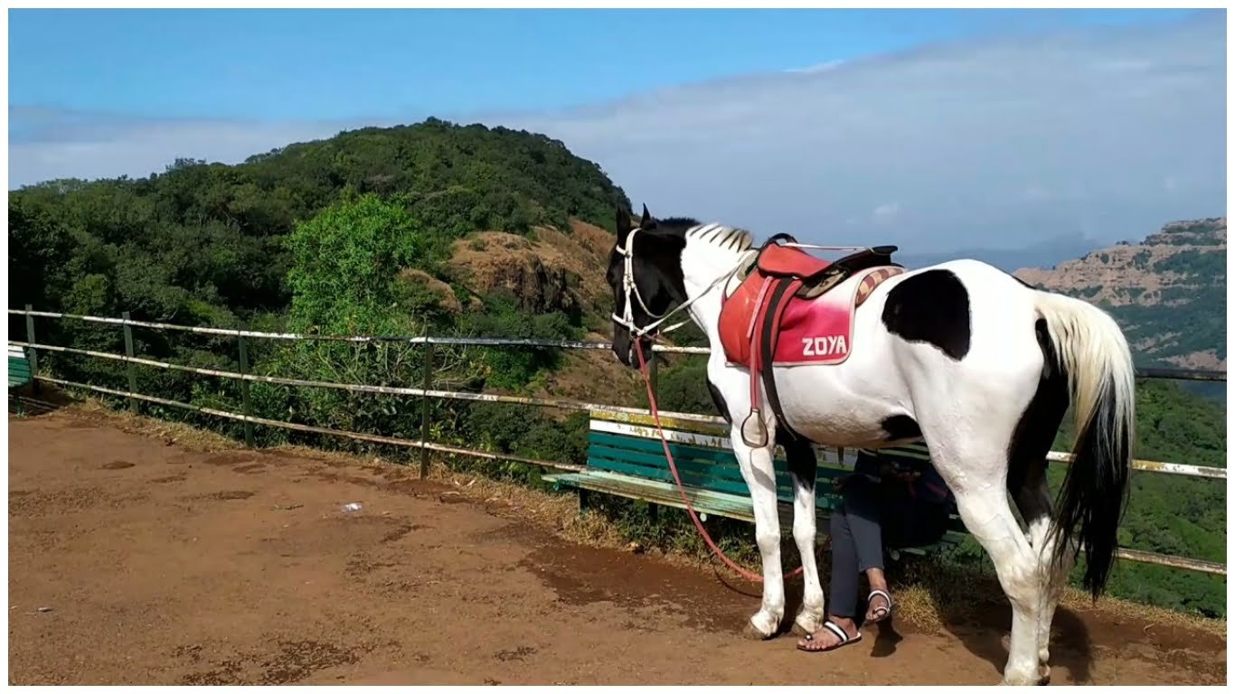 Tripatales Horse Riding Mahabaleshwar Tripatales Horse Riding Mahabaleshwar