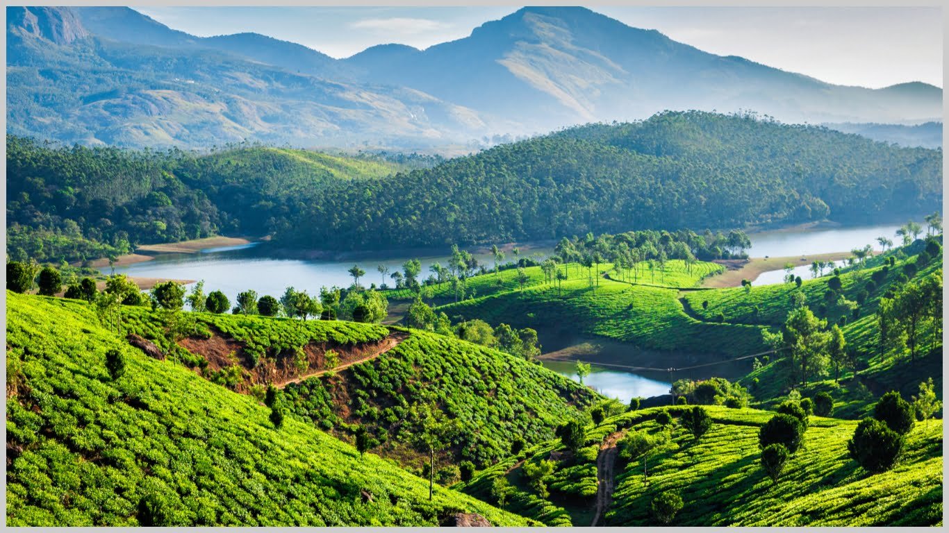Tripatales Munnar A hill station surrounded by tea plantations and rivers. Tripatales Munnar A hill station surrounded by tea plantations and rivers.