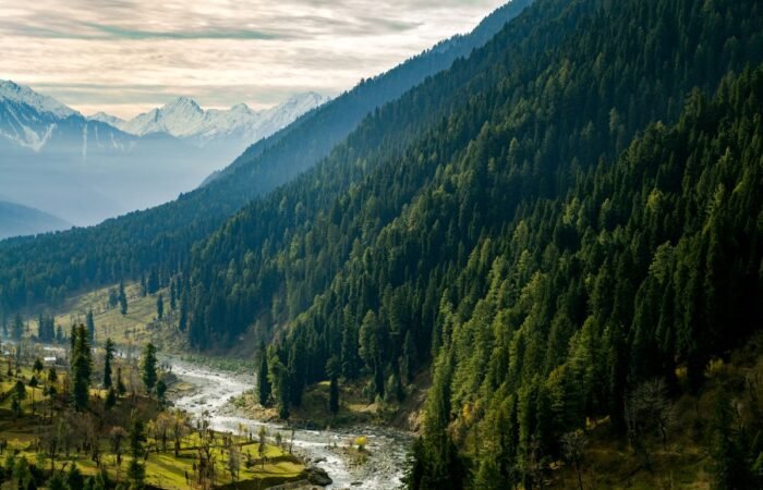 Tripatales Pahalgam Aru Valley 1200 x 800 Tripatales