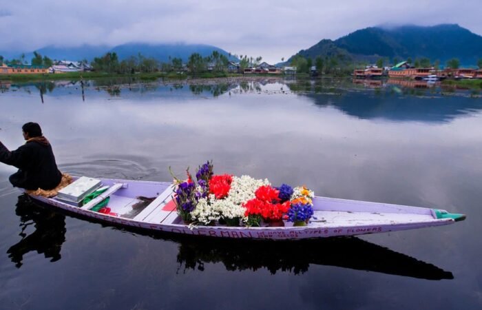 Shikara Srinagar 1200 x 658 Tripatales