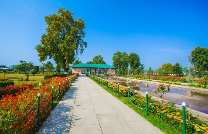 Srinagar Shalimar Bagh 1200 x 800 Tripatales