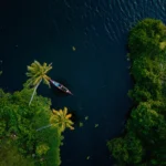 The Beautiful Aerial View of Backwaters Kerala Image from Tripatales