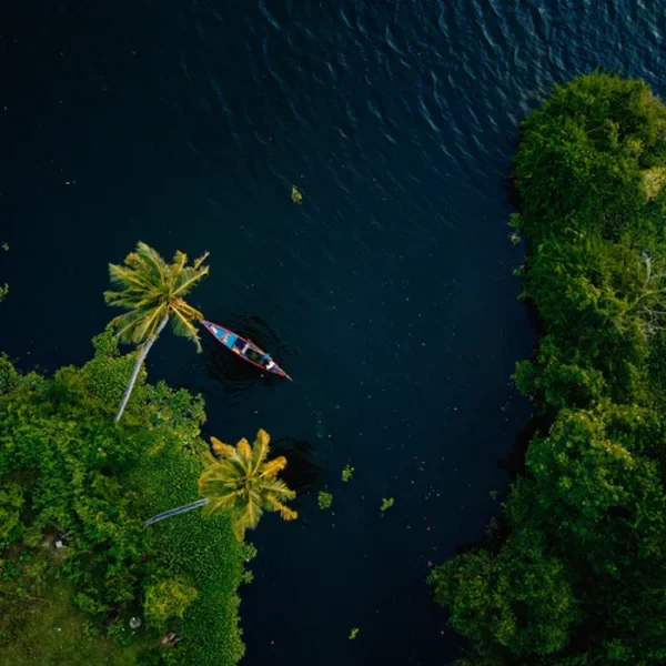 The Beautiful Aerial View of Backwaters Kerala Image from Tripatales