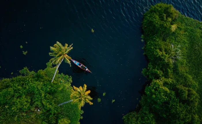 The Beautiful Aerial View of Backwaters Kerala Image from Tripatales