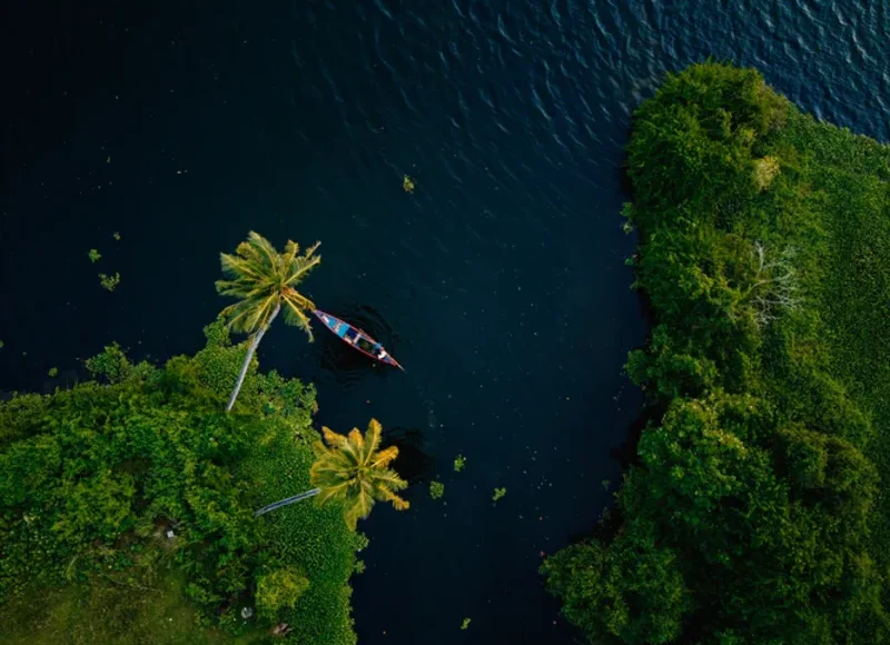 The Beautiful Aerial View of Backwaters Kerala Image from Tripatales