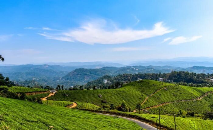 The Beautiful Munnar Kerala Image from Tripatales