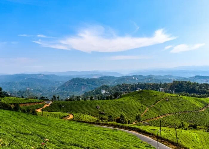 The Beautiful Munnar Kerala Image from Tripatales