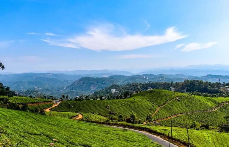 The Beautiful Munnar Kerala Image from Tripatales