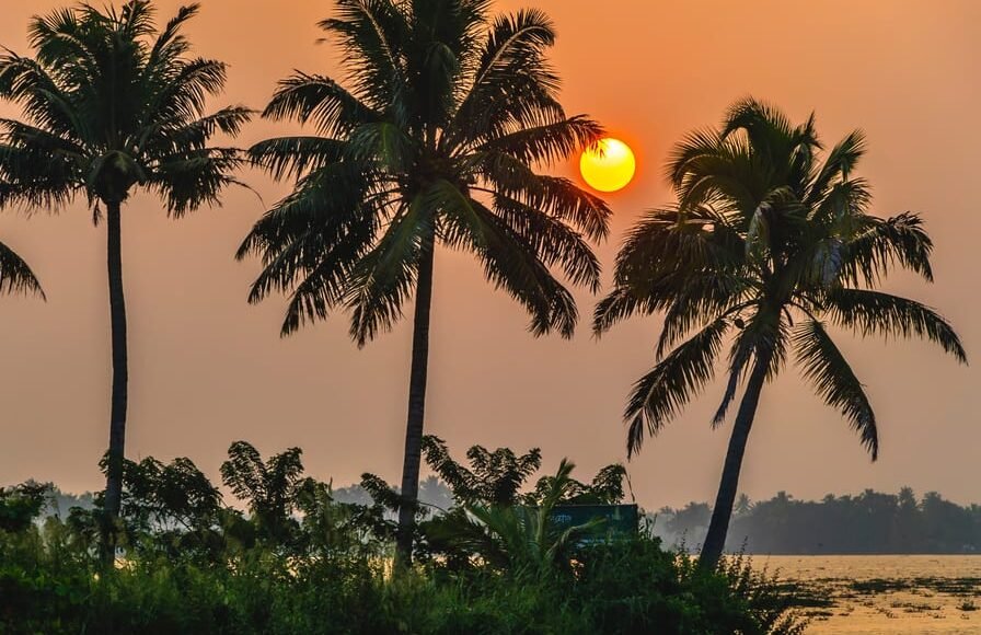 The Beautiful Sunset at the Kerala Backwater Lake Kerala Image from Tripatales