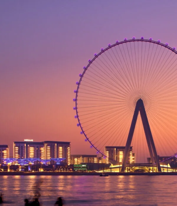 AIN Dubai Tripatales