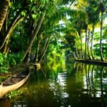 Kerala Tourism Image Tripatales 1