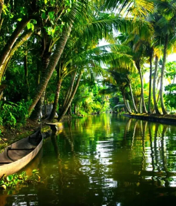 Kerala Tourism Image Tripatales 1
