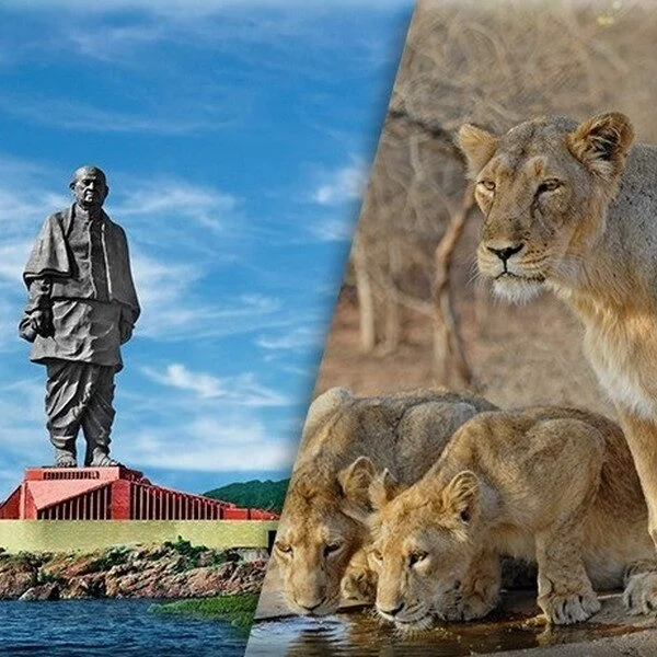 Tripatales Gujarat Thumbnail